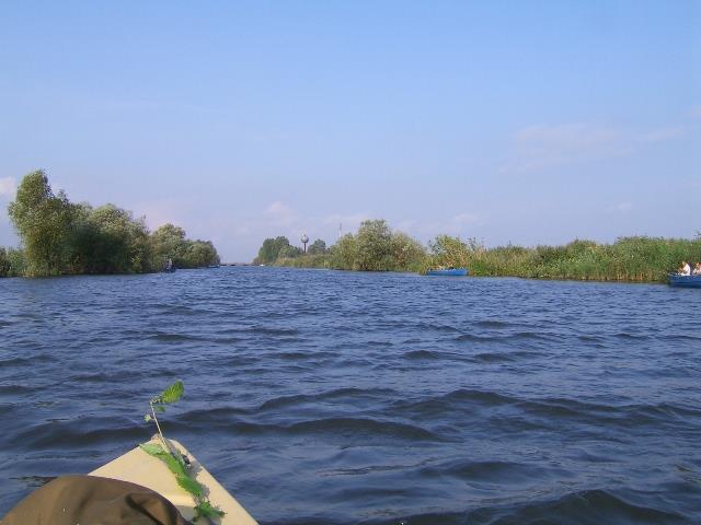 delta rosu 2005 - rosu-2005-008.jpg